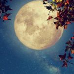 24 июля — золотое Полнолуние возможностей: как провести этот мощный день