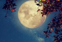24 июля — золотое Полнолуние возможностей: как провести этот мощный день