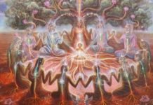 Сила семи поколений: зачем знать историю своих предков?