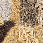 Производство корма: комбикорм и премиксы для сельскохозяйственных животных