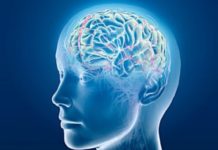 Чи потрібен цукор головному мозку? Відповіді лікарів