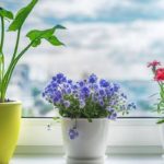 10 вещей, которые повысят уровень энергетических вибраций вашего дома