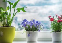 10 вещей, которые повысят уровень энергетических вибраций вашего дома