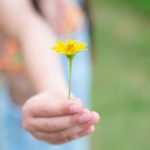 Магические слова для каждого знака Зодиака