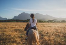 Конные прогулки: плюсы