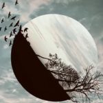 Даже если человек не поблагодарил за помощь, энергия благодарности все равно будет снята