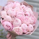 На пике популярности букеты из пионов