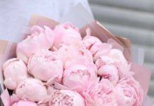 На пике популярности букеты из пионов