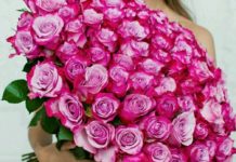 101 роза: приятные эмоции с помощью доставки цветов