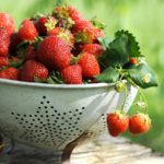 Чем богаты ягоды и фрукты?