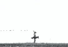 9 способов, которыми Вселенная предупреждает держаться подальше от токсичного человека