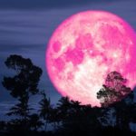14.06.22 — розовое Полнолуние: как подготовиться и провести этот особенный день