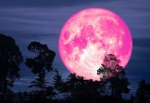14.06.22 — розовое Полнолуние: как подготовиться и провести этот особенный день