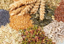 Насколько необходимы животным минеральные добавки?