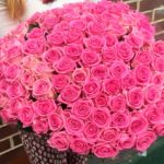 Букет из 101 розы: секреты выбора и сохранения