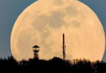 13 июля 2022 – мощное Полнолуние активности и искренней благодарности учителям жизни