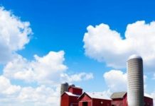 Все самые важные нюансы об оценке сервитута земельного участка