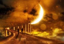 Растущая Луна с 24 ноября по 8 декабря: благоприятные и неблагоприятные дни