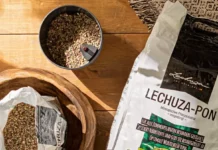 Где купить грунт лечуза?