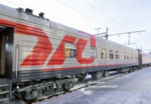 РЖД запретит проводникам высаживать животных из поездов после смерти кота Твикса