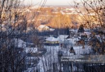 Неизвестные пытались убить собаку в Томске, перерезав горло и пробив грудь. Ее спасли прохожие