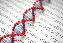 Секвенирование генома: дешифровка тайного языка жизни