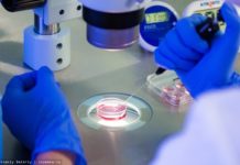 Власти: в Томской области эффективность ЭКО выше, чем в среднем по России