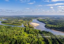 Томские ученые выяснят, какие почвы сильнее всего накапливают углерод