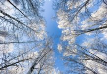 «Томскнефть ВНК» загрязнила земли, причинив ущерб на 20,6 млн руб