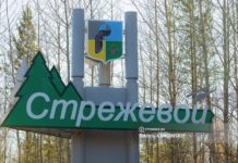 «Мы прародители этой системы»: пятерых депутатов думы Стрежевого лишили мандатов из-за проблем с декларациями