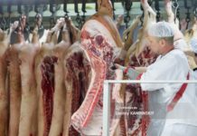 Экспорт сельхозпродукции Томской области вырос на 20%. Основные покупатели — страны Азии