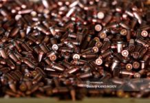 Силовики изъяли у томичей более 1,7 тыс единиц оружия в 2023г