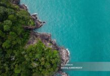 Томичи с февраля смогут напрямую летать в Паттайю