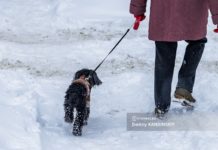 «Чувствуется некоторая расхлябанность»: чиновники проведут пешие проверки дворов Томска