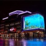 Световые фантазии: удивительный мир светодиодных экранов