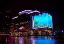 Световые фантазии: удивительный мир светодиодных экранов