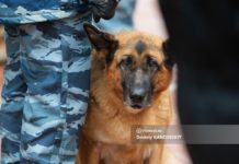 Школу в Томске эвакуировали из-за сообщения о минировании