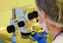 Томские генетики за год обследовали более 130 тыс младенцев. У 64 детей нашли редкие патологии