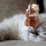 Самые дерзкие знаки Зодиака: наглость — их второе счастье