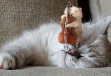 Самые дерзкие знаки Зодиака: наглость — их второе счастье