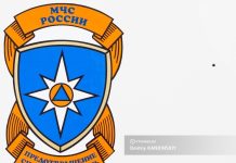 Пожар потушили на пилораме под Томском на 240 «квадратах»