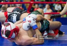 Соревнования по ММА пройдут в Томске