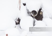 «Вонь стоит ужасная»: общественники жалуются на слив нечистот в Томь