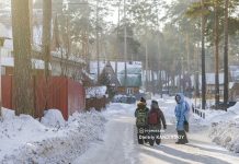 Синоптик сообщила, какая погода будет в Томске в конце февраля: когда закончится мороз
