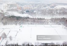 Сквер у многоэтажки на Южной и рощу у «Политехника» просят признать охраняемыми зонами