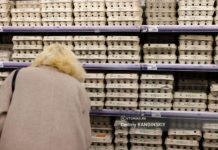 СМИ: импортные куриные яйца не попали в российские магазины