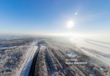 Томск создаст спецподразделение для защиты и воспроизводства городских лесов