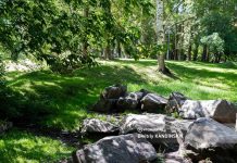 Компания из Томска продолжит благоустройство Буфф-сада в 2024г