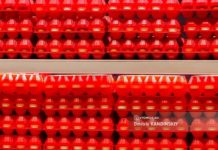 Власти: томские пищевики и торговые сети не стали поднимать потолок цен на яйца и курицу