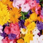 5 цветов, которые нельзя дарить любимым людям